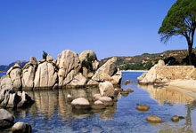 国足球员近两场球迷评分对比：王大雷.暴跌至..